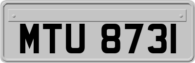 MTU8731