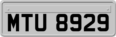 MTU8929