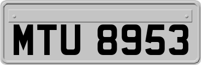 MTU8953