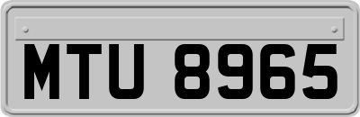 MTU8965