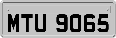 MTU9065