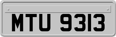 MTU9313