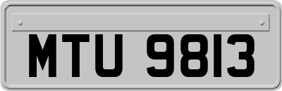 MTU9813