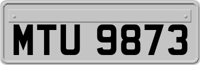 MTU9873