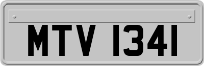 MTV1341