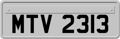 MTV2313