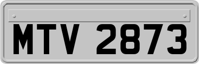 MTV2873
