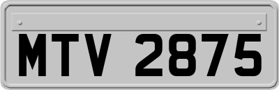 MTV2875