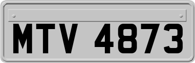 MTV4873