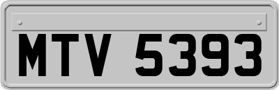 MTV5393