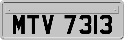 MTV7313
