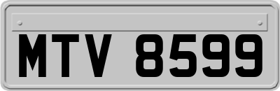 MTV8599
