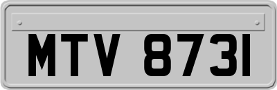 MTV8731