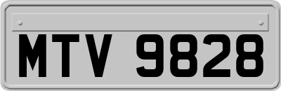 MTV9828