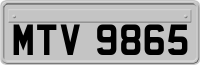 MTV9865