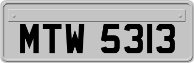 MTW5313