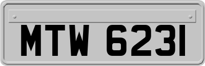 MTW6231
