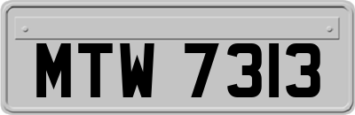 MTW7313