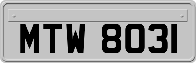 MTW8031