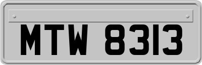 MTW8313