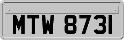 MTW8731