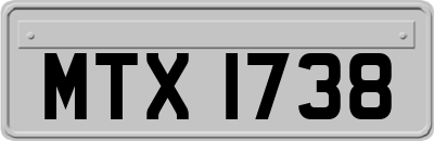 MTX1738