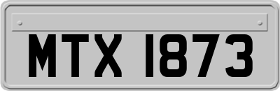 MTX1873