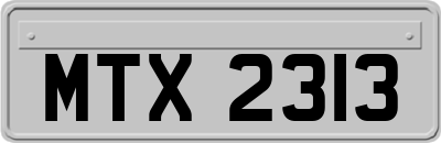 MTX2313