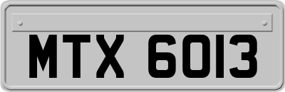 MTX6013