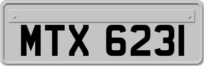 MTX6231