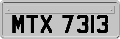 MTX7313