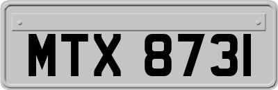 MTX8731