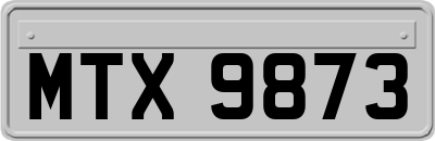 MTX9873
