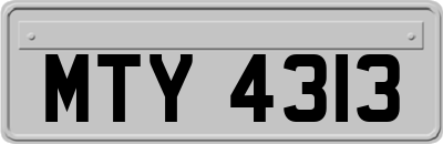 MTY4313