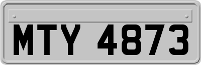 MTY4873