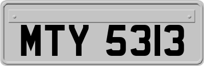 MTY5313