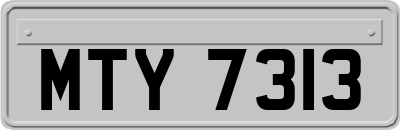 MTY7313