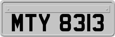 MTY8313