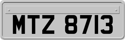 MTZ8713