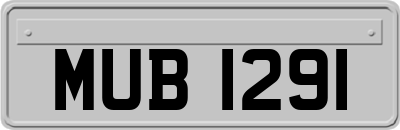 MUB1291