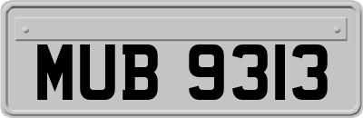 MUB9313