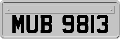 MUB9813