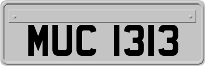 MUC1313