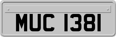 MUC1381