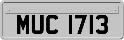 MUC1713