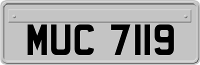 MUC7119