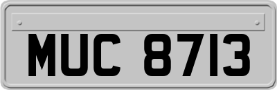 MUC8713