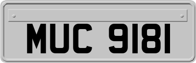 MUC9181
