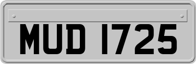 MUD1725