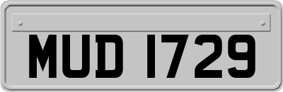 MUD1729